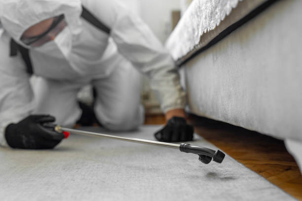 Professional Pest Control technician working in Genesee County County, MI